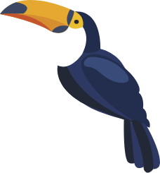 toucan image