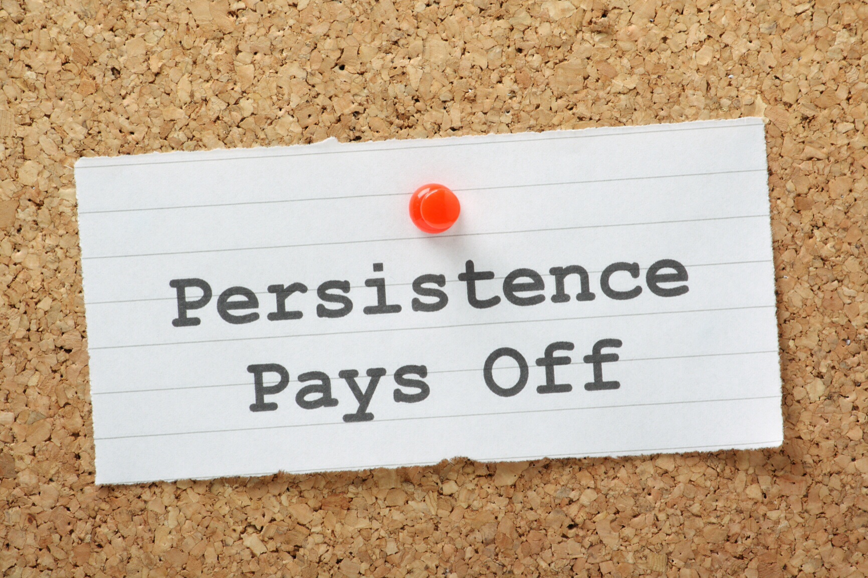 persistence - Toucan Telemarketing